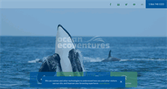 Desktop Screenshot of oceanecoventures.com